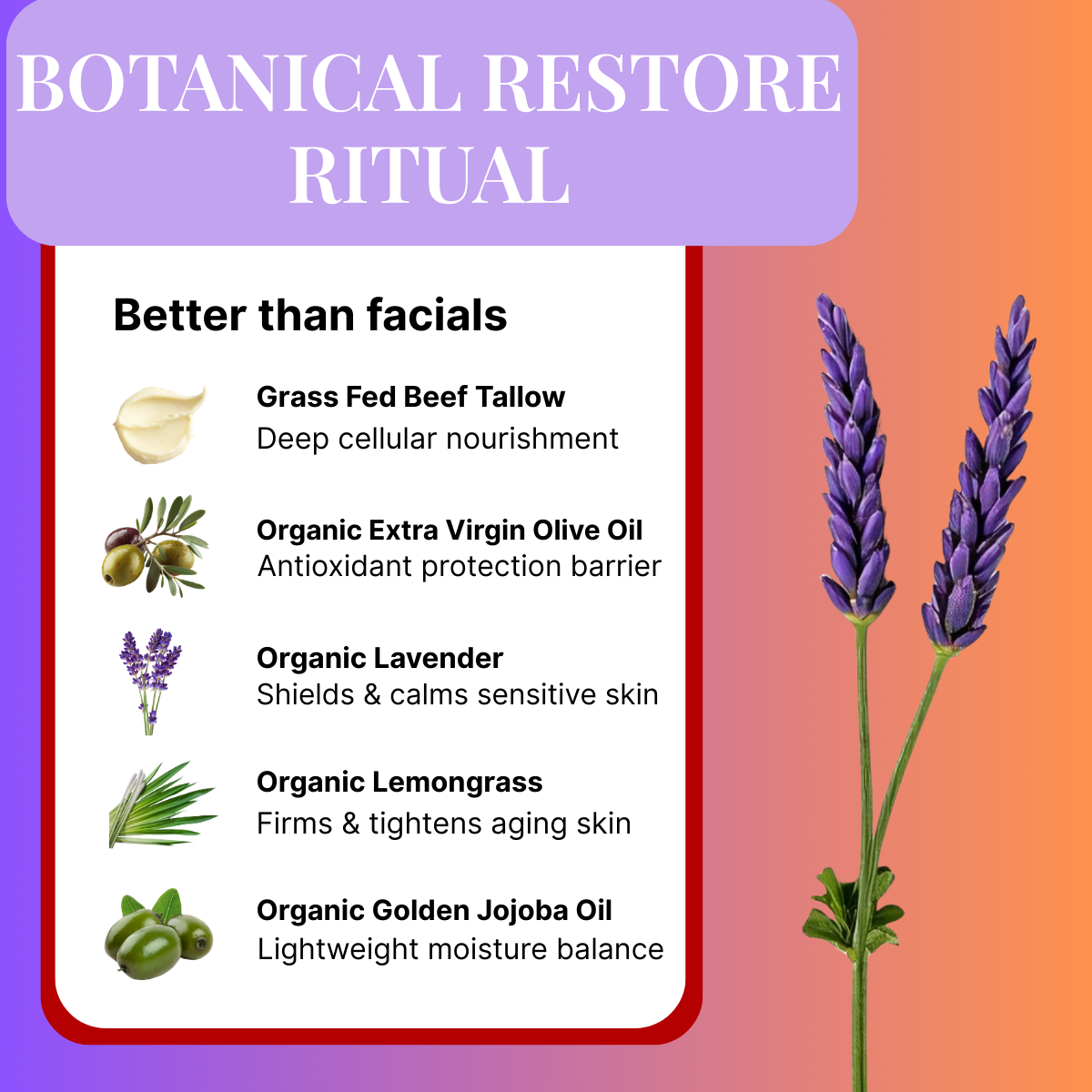 Soothing Botanicals - Night Restore