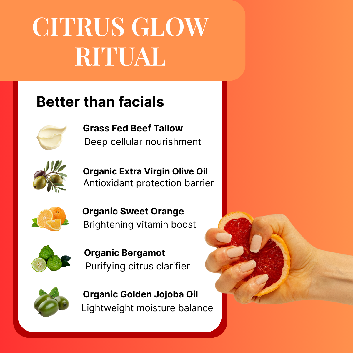 Nourish Citrus - Morning Glow